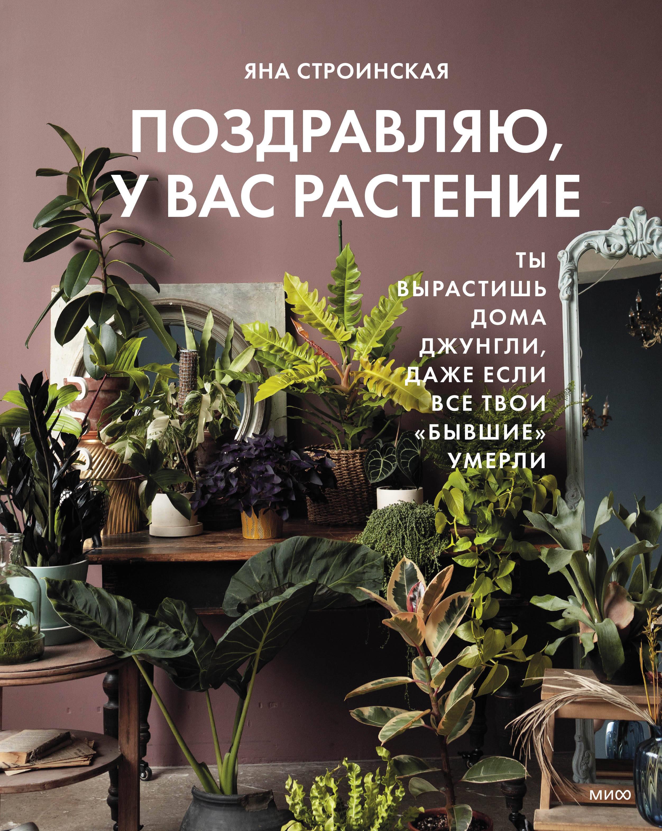 Поздравляю, у вас растение. Ты вырастишь дома джунгли, даже если все твои  бывшие умерли