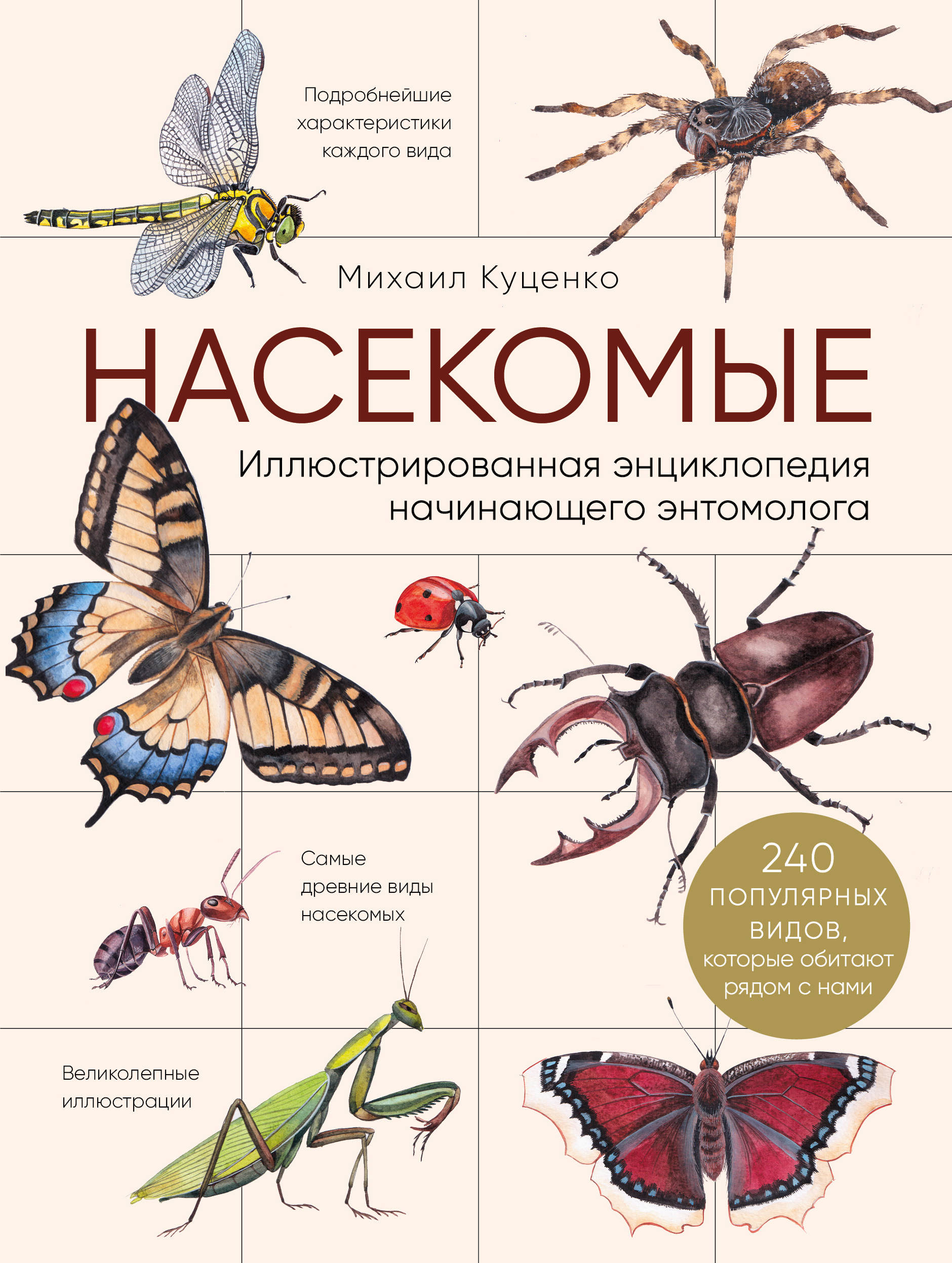 Насекомые. Иллюстрированная энциклопедия начинающего энтомолога. 240  популярных видов, которые обитают рядом с нами