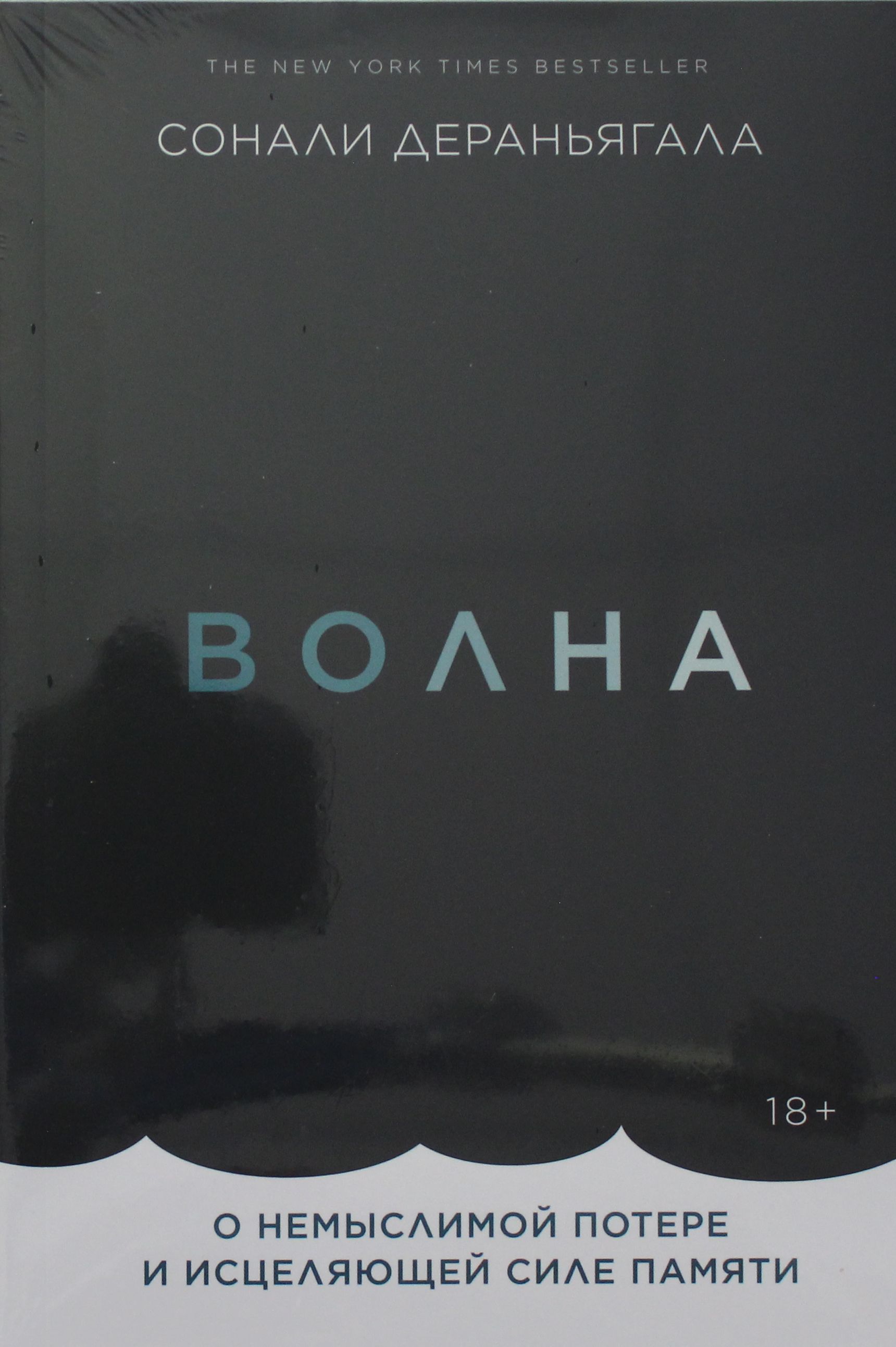 Сила памяти. Волна о немыслимой потере и исцеляющей силе памяти. Волна книга. Волна книга Сонали. Дераньагала Сонали волна.