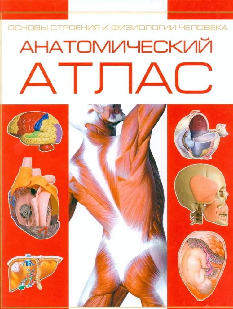 Анатомический атлас.