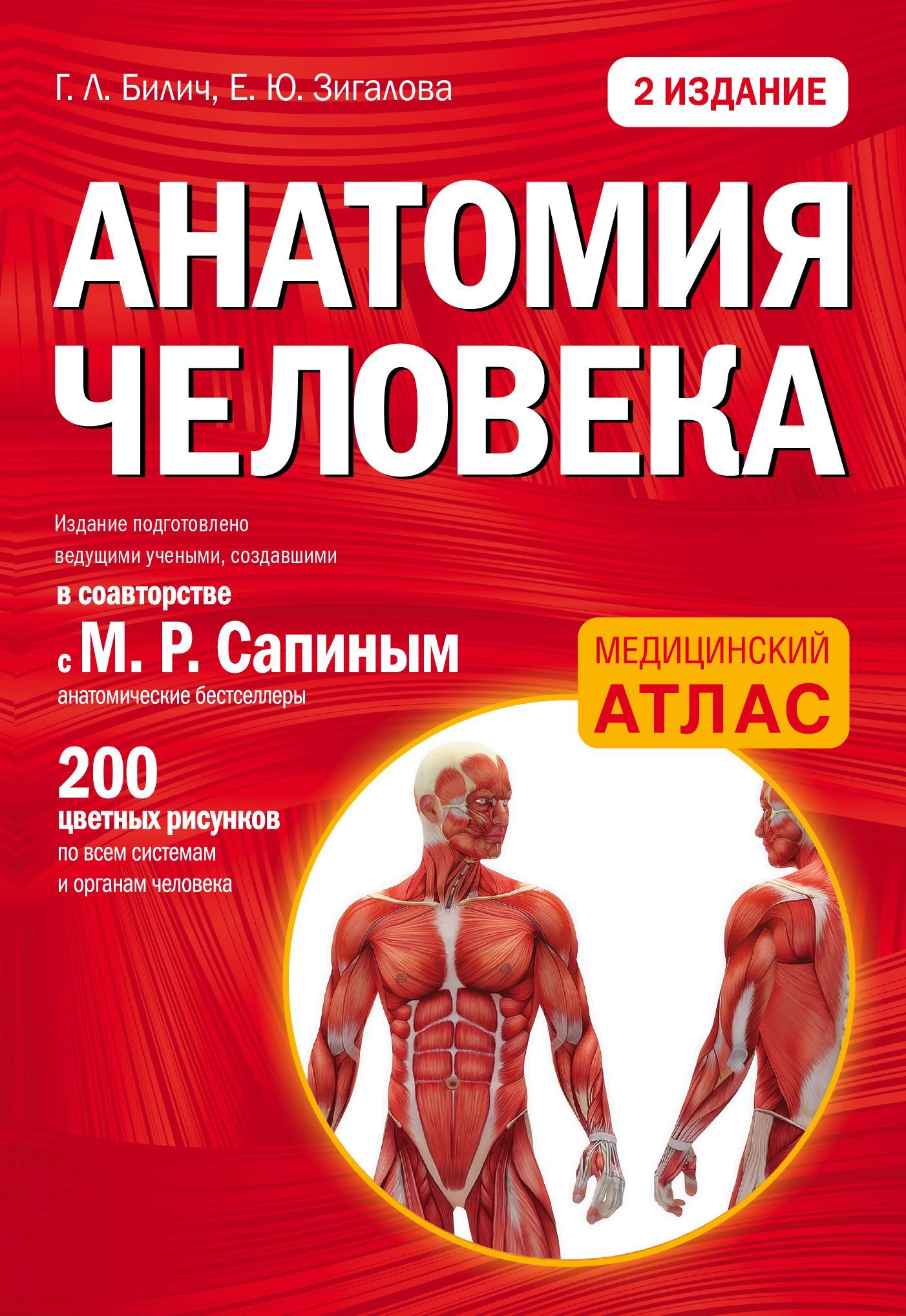 Анатомия человека