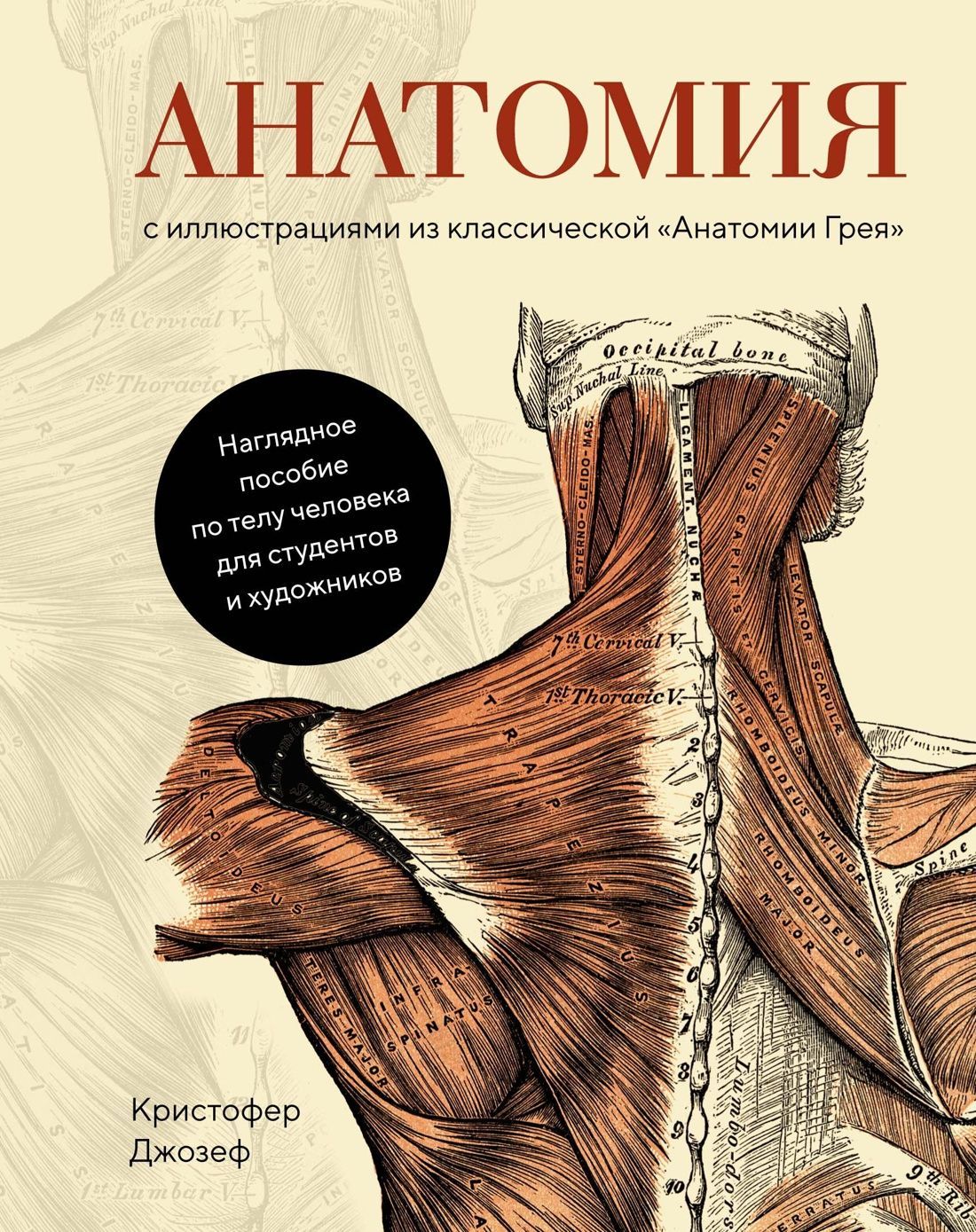 Анатомия.(с илл. из классической "Анатомии Грея") Анатомия.(с илл. из классической "Анатомии Грея")