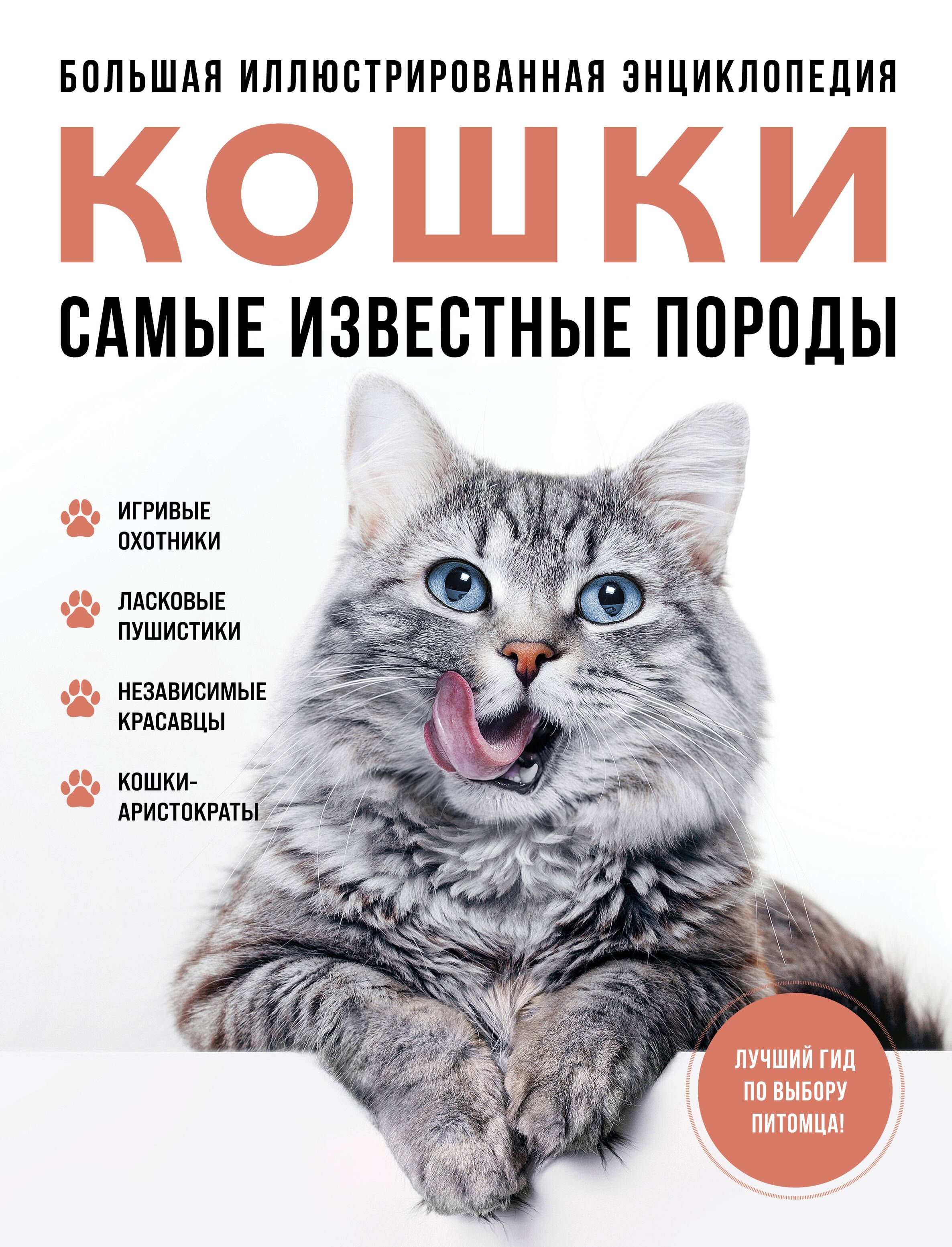 Самые известные породы. КОШКИ. Большая иллюстрированная энциклопедия Самые известные породы. КОШКИ. Большая иллюстрированная энциклопедия