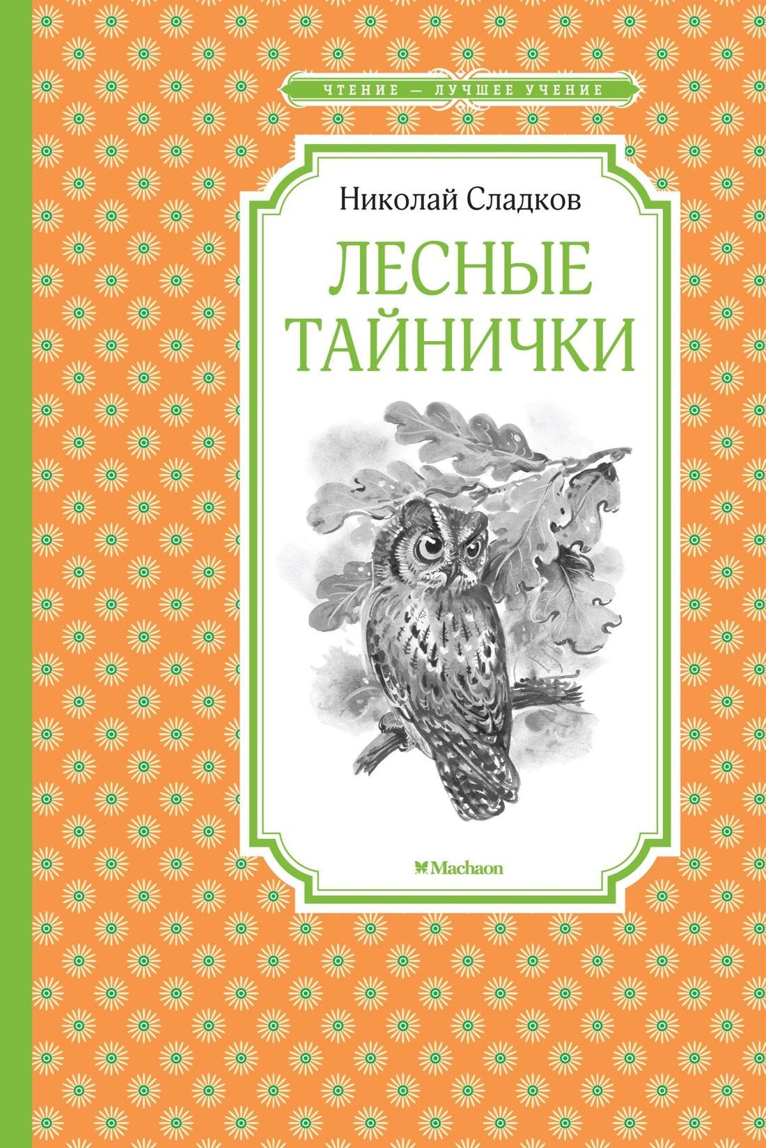 Лесные тайнички Лесные тайнички