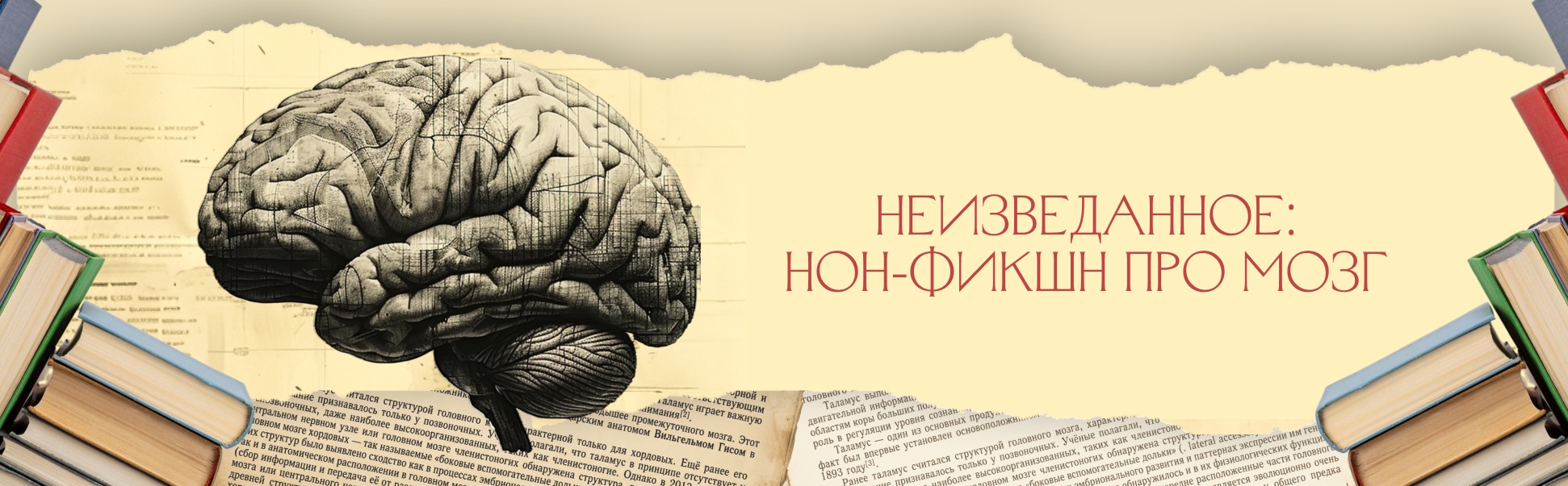 Подборка качественного нон-фикшна про мозг