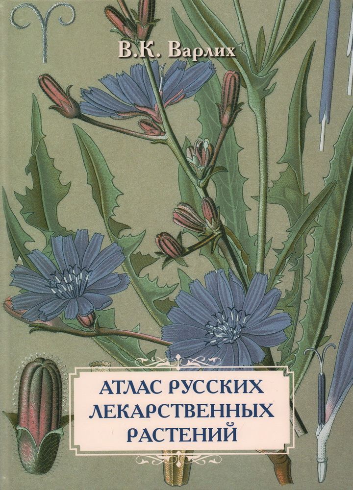 Атлас русских лекарственных растений. В.К. Варлих Атлас русских лекарственных растений. В.К. Варлих