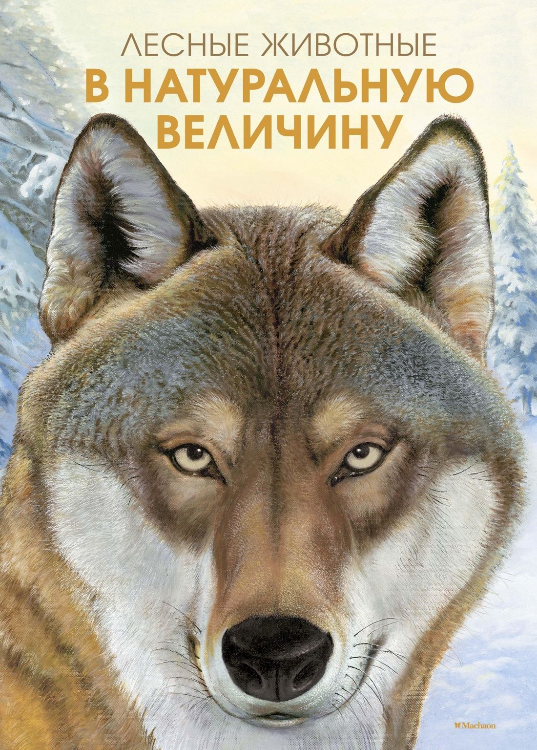 Лесные животные в натуральную величину Лесные животные в натуральную величину