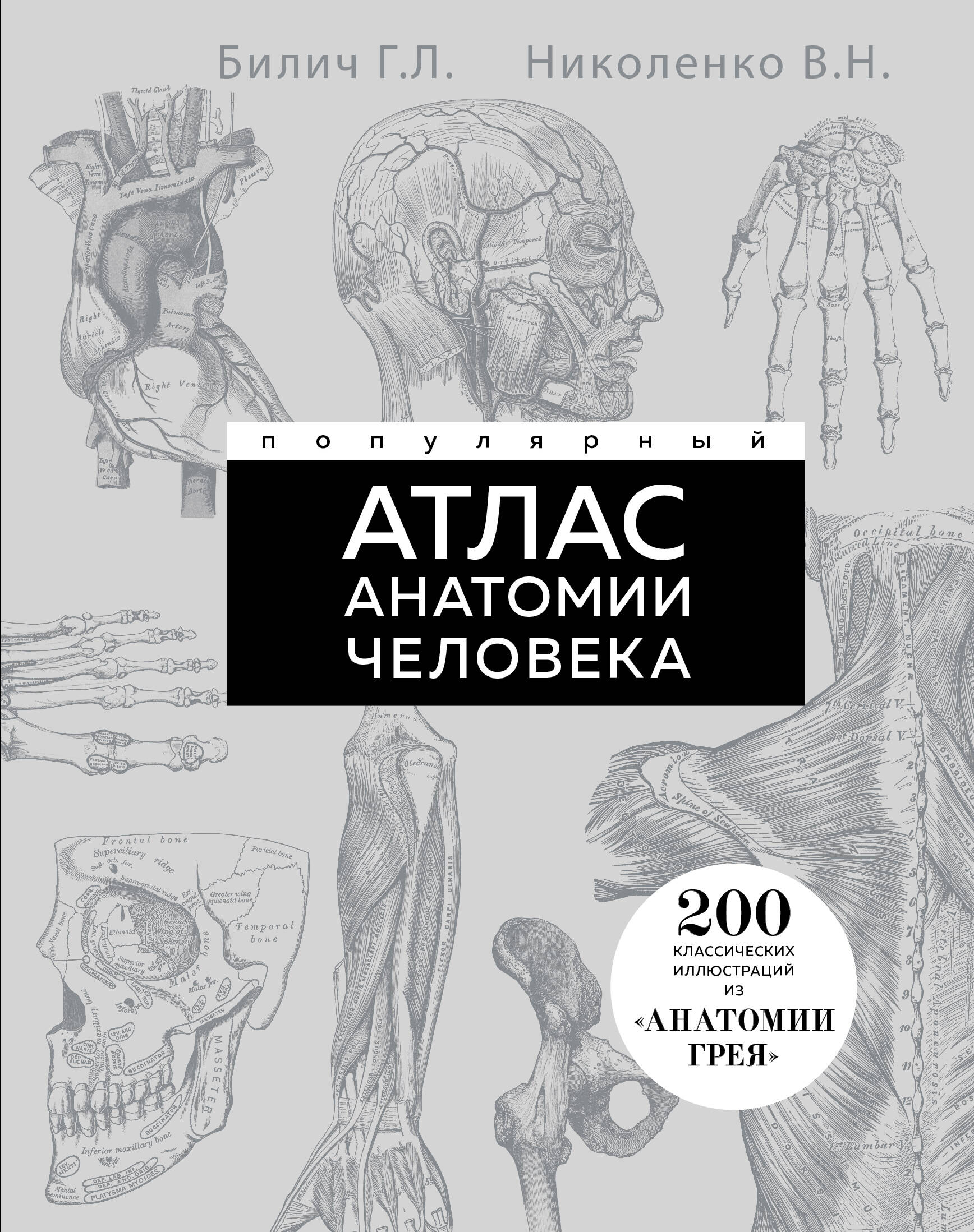 Популярный атлас анатомии человека. 200 классических иллюстраций из «Анатомии Грея»
