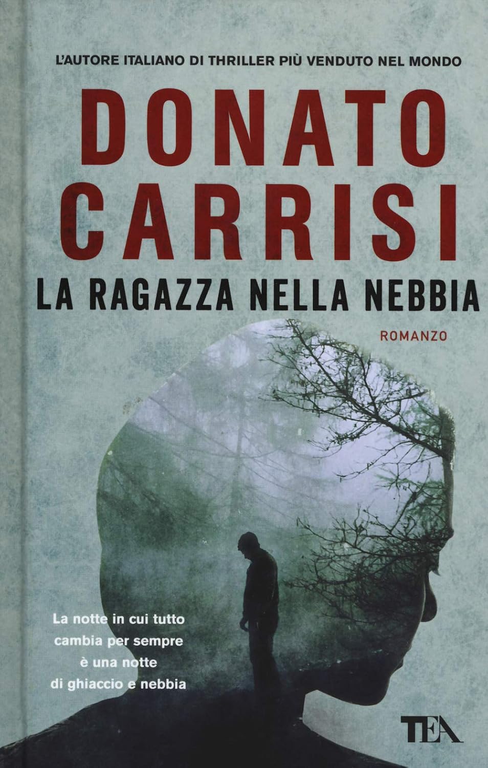 La ragazza nella nebbia HC La ragazza nella nebbia HC