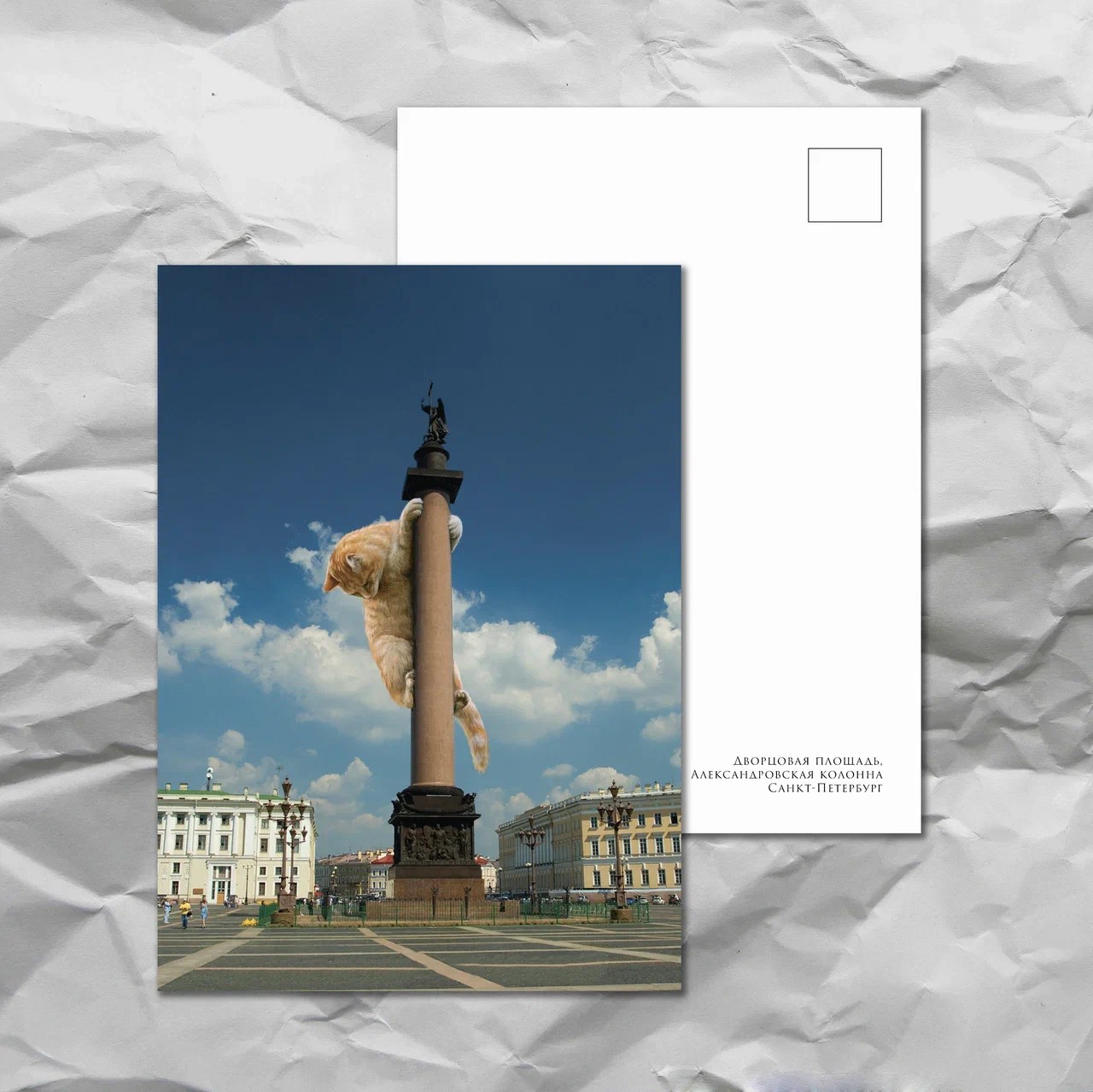 Открытка почтовая oksanailiksusha "Котик на Дворцовой площади"