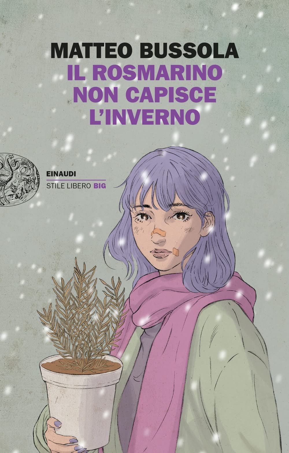 Il rosmarino non capisce l'inverno Il rosmarino non capisce l'inverno